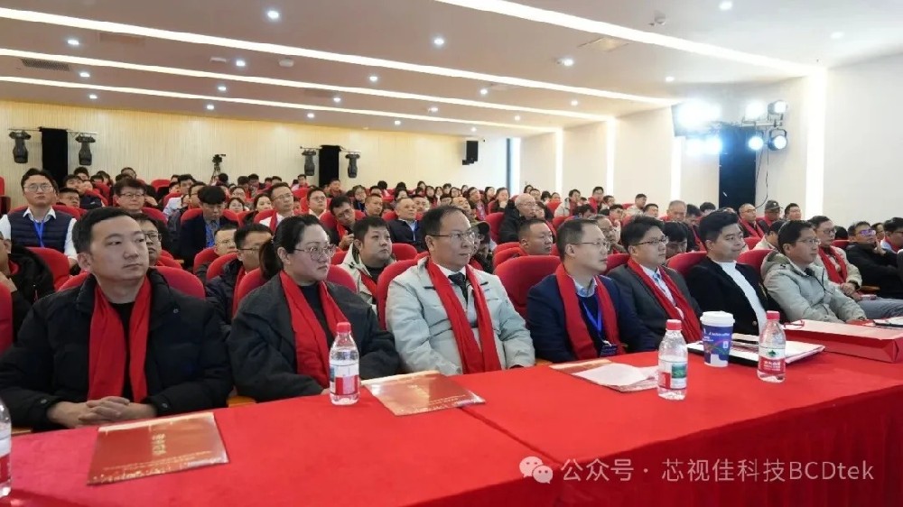 芯視佳2026年全球合作伙伴大會順利召開：共話合作新框架 共繪產(chǎn)業(yè)新藍圖