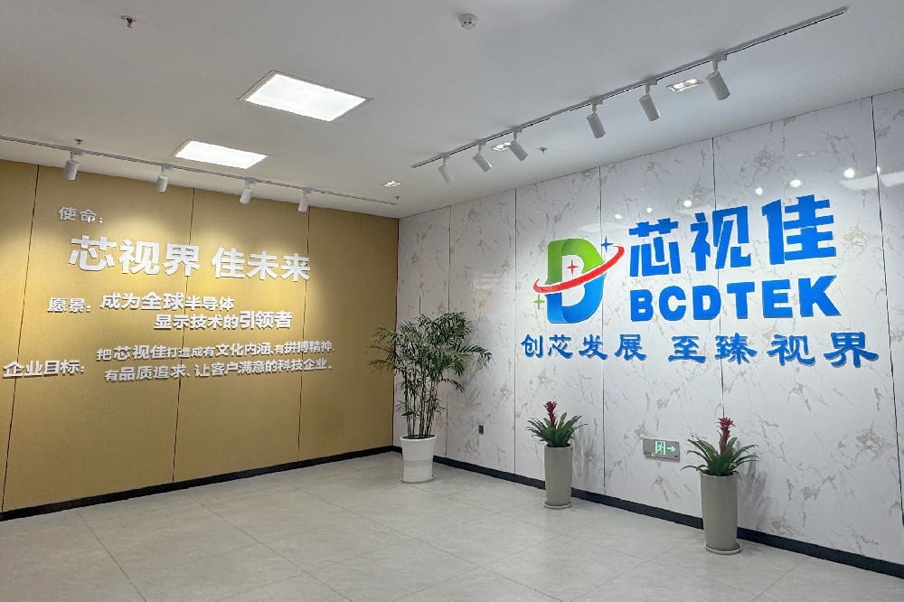 黨建引領啟新程 江西芯視佳黨支部正式成立