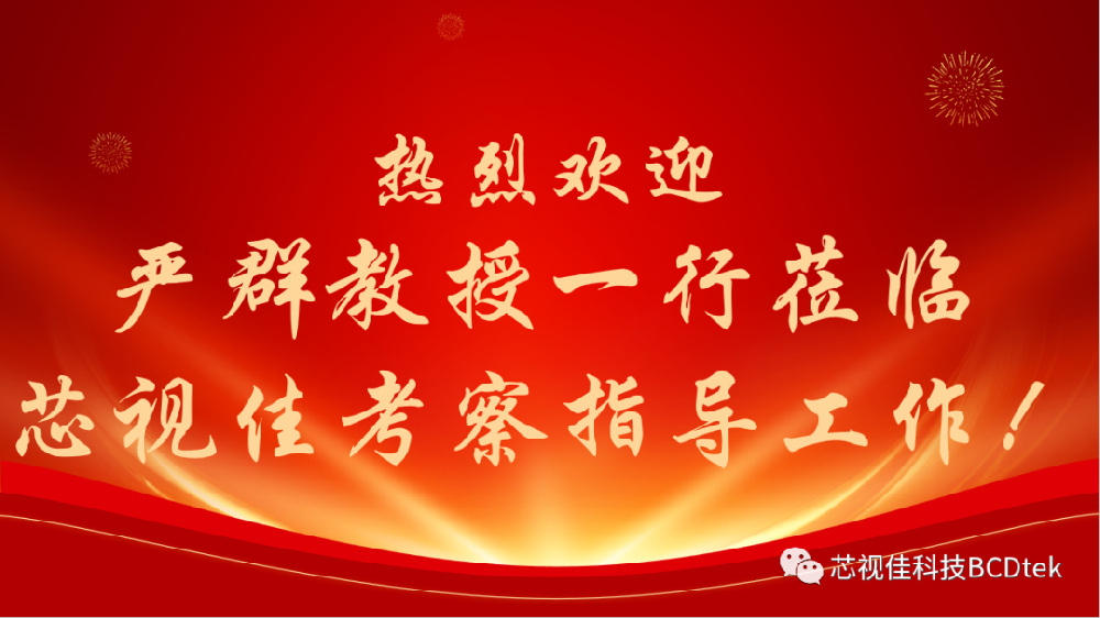 嚴群教授一行蒞臨深圳市芯視佳半導體科技有限公司考察并指導工作！